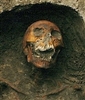Cistern's avatar
