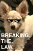 Cmoze's avatar