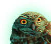glunkus's avatar