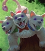 Dimijung's avatar