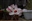 FairyMonarch's avatar