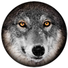 Vargen_Live's avatar