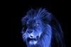 LionSoul378's avatar