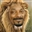 TheLionOrion2's avatar