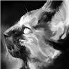Sintent's avatar