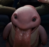 ClappinGnomeCheeks's avatar