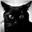 TakenKitten's avatar
