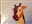 nateuemura's avatar