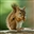 SelfAwareSquirrel's avatar