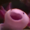 monkmazy23's avatar