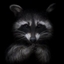 ha11's avatar