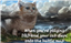 CatGodSpeedz's avatar