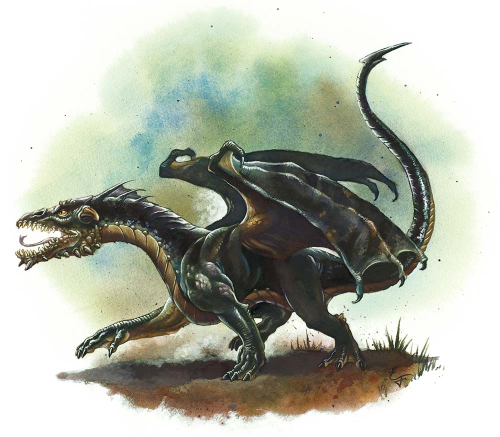 D&d Baby Dragon - Captions Blog