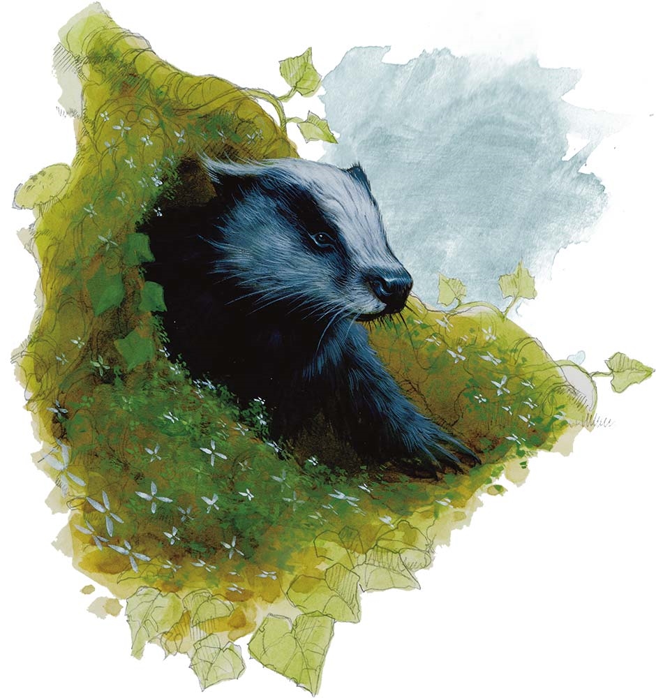 Giant Badger