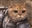 SuperDavin's avatar