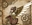 FallenFromGlory's avatar