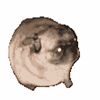 Angelland05's avatar