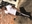 63mfc568ay's avatar