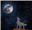 Vymminth's avatar