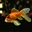 AStrangledCatfish's avatar