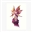 MitzushiBlackgrindir's avatar