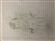 Fitz_Coulson's avatar