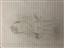 Fitz_Coulson's avatar
