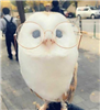 AntiTheDemon's avatar