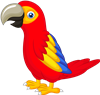 afcoastie's avatar
