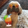 Dakkawhack's avatar