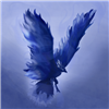 AidenInferno's avatar