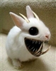 Samuel_Blackraine's avatar