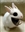 Samuel_Blackraine's avatar
