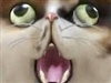 epicgizmo's avatar