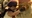 jonestainback's avatar