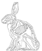 PhoenixChaosDanger's avatar
