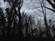 HouseFangorn's avatar