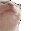 Yourdoomwaits's avatar