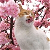 BigSmartGuy's avatar