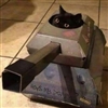 The_Klaw's avatar