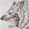 LeLoupe's avatar