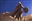 SteelRain4's avatar