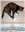 WhiskeyHunter's avatar
