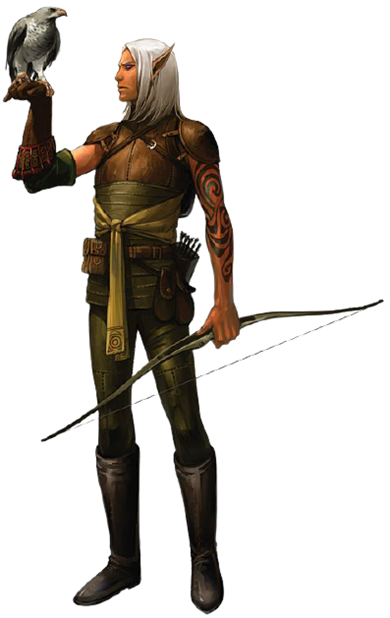 Falconer Image