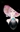 EvilFirefly's avatar
