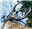 Tevar's avatar