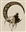 ThaelinDarkanvil's avatar