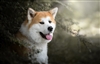 Exqzr's avatar