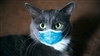 DaKey's avatar