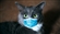 DaKey's avatar